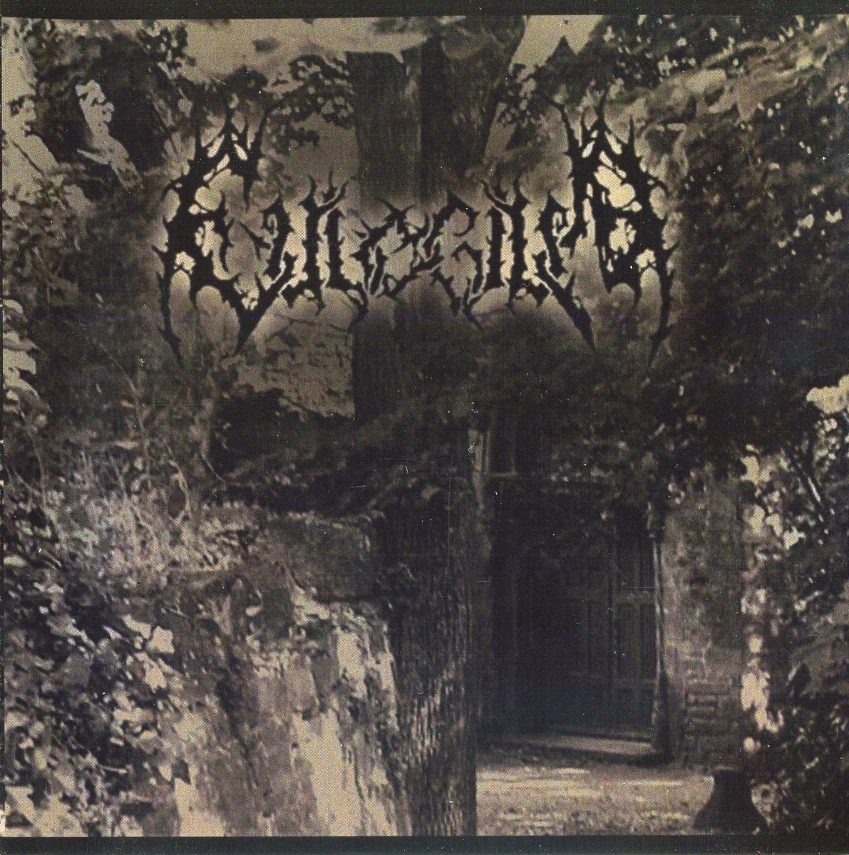 Where Solace is Mine