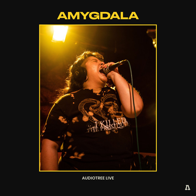 Amygdala on Audiotree Live