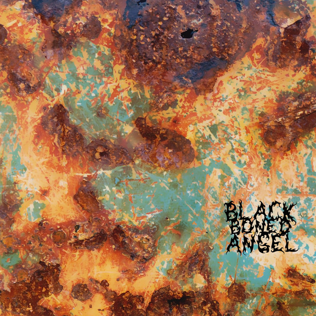 Black Boned Angel