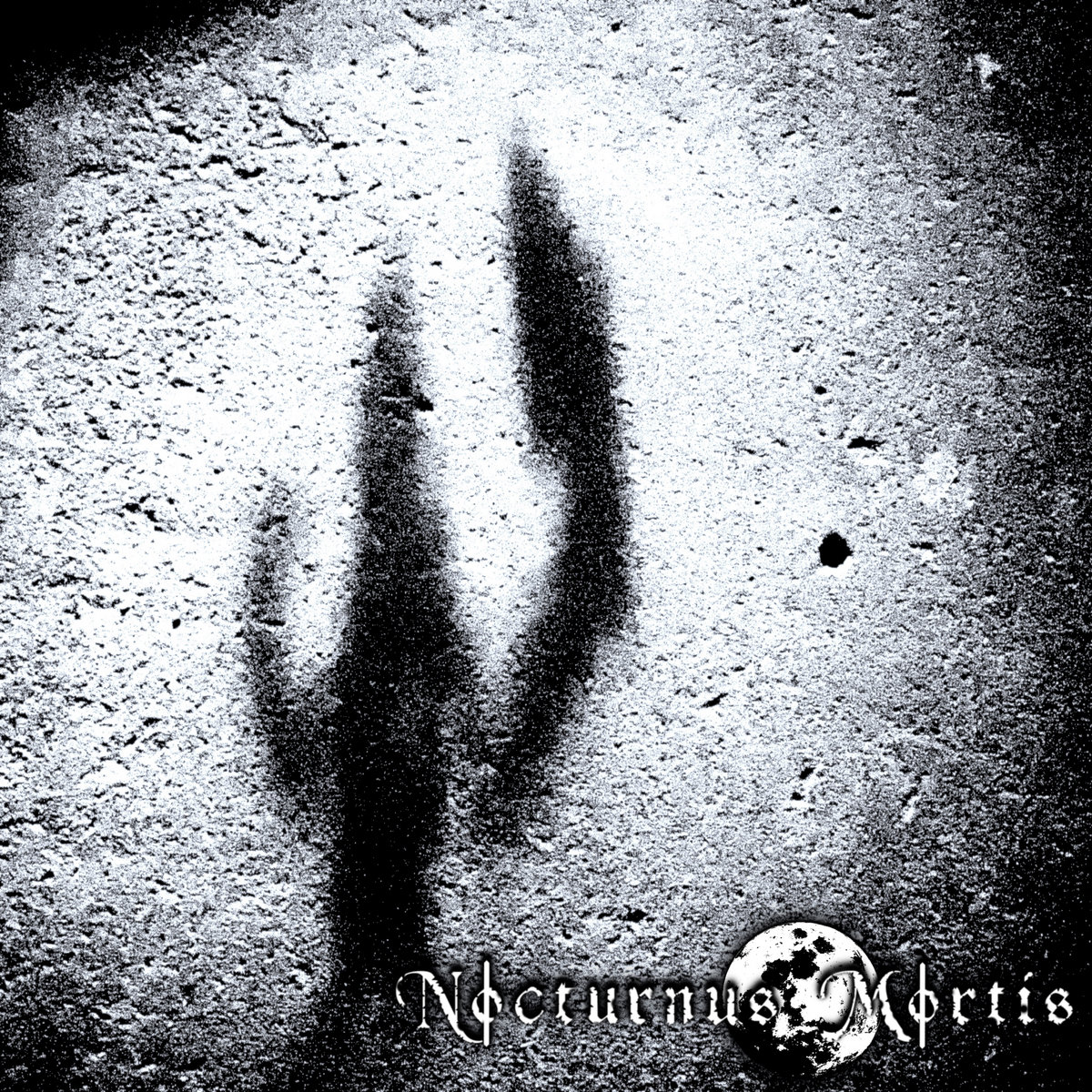 Snow Covered Domicile