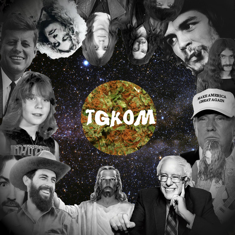 The Good Kind of Mushroom [single]