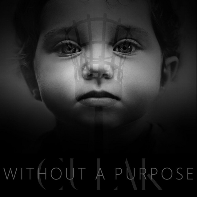 Without a Purpose