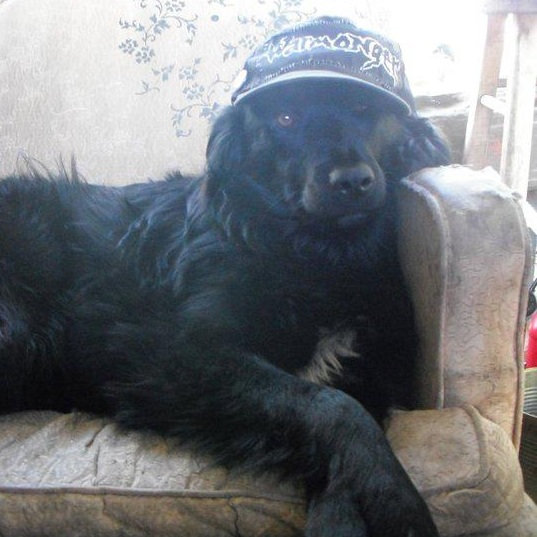 Shit we need to finish