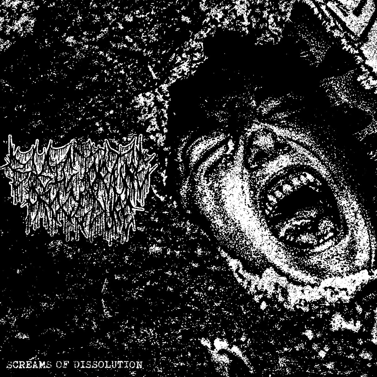 Screams of Dissolution