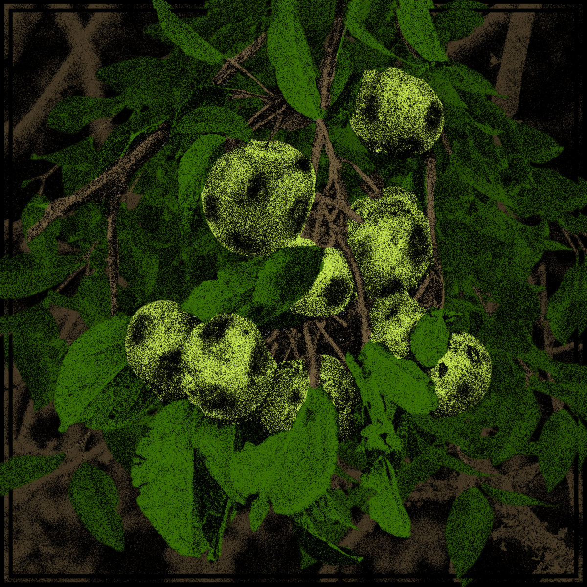 Apples / Flaming Fire