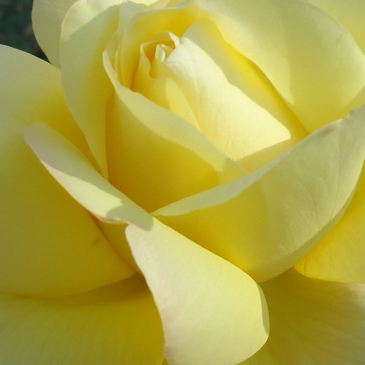 You Gave Me Something