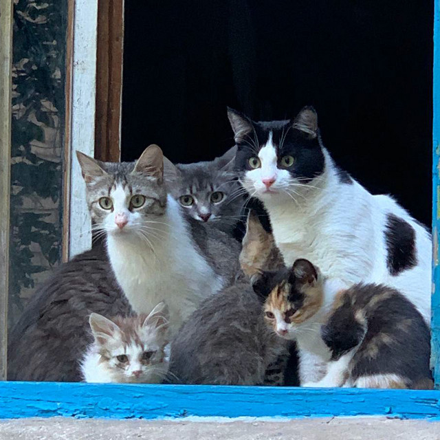 Может заново