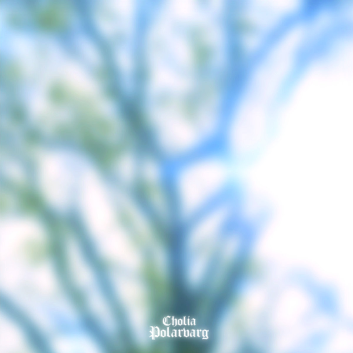 Cholia / Polarvarg