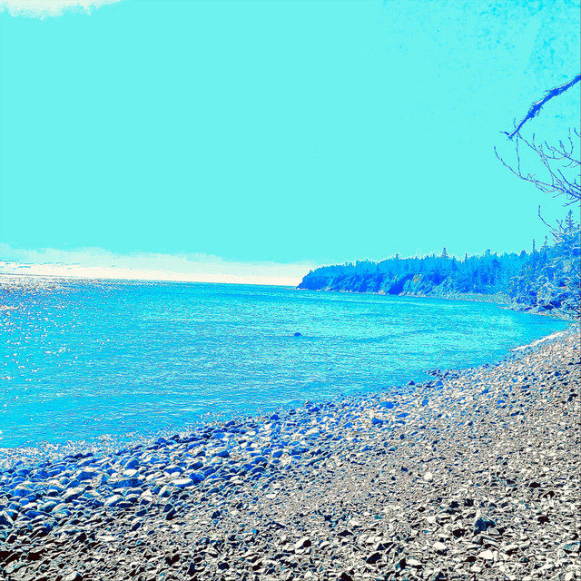 The Stars Are Traitors