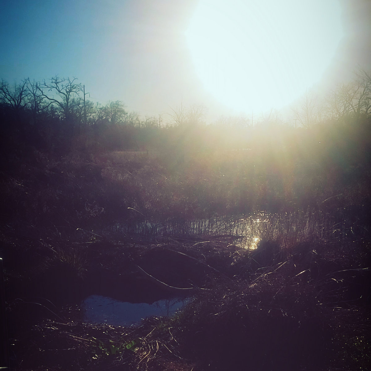 Old Man at the Bridge