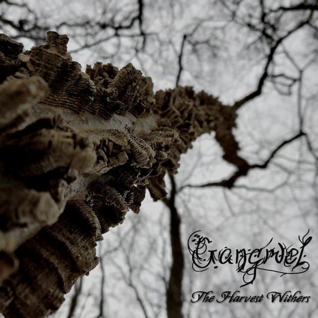 Gangruel
