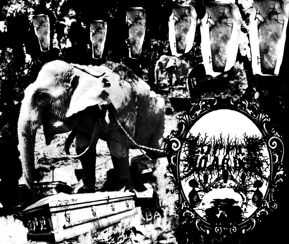 coffin hoarder and the 100 ton funeral march ensemble