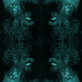 windowinter