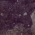 Razed To The Ground [Price Cutter Series]