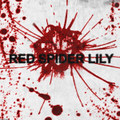 Red Spider Lilly