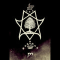 The Void Gazer