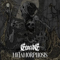 Metamorphosis