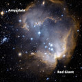 Red Giant
