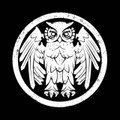 Underneath The Owl