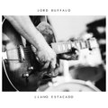Llano Estacado (515843978)