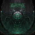 Animism