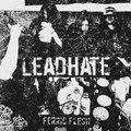 Ferric Flesh