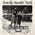 From the Forested North