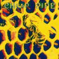 Hive