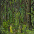 Sallow Moth/Vmthanaachth Split