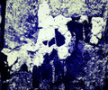 TRANSPOZ
