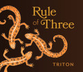 Rule of Three