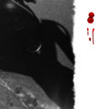 Shadows and Blood [feat. Ross Wright]