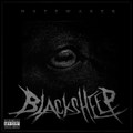 Black Sheep