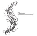 Crystals curse - single