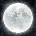 Moonlight Repose