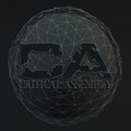 Critical Assembly