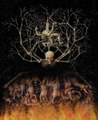 death conception