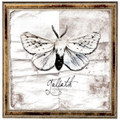 Goliath