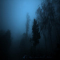 the rain that falls alone...