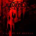 A Ghost Of Mettle