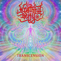 Transcension