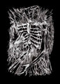 Astrovertagram Demos