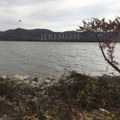 Jeremiah (feat. Angela Morris)