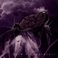 Emergence