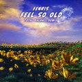 Feel So Old (Remix)