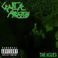 The Holes