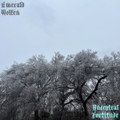 Ancestral Fortitude