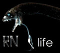 The Life EP