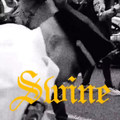 Swine