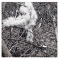 Cold Ground